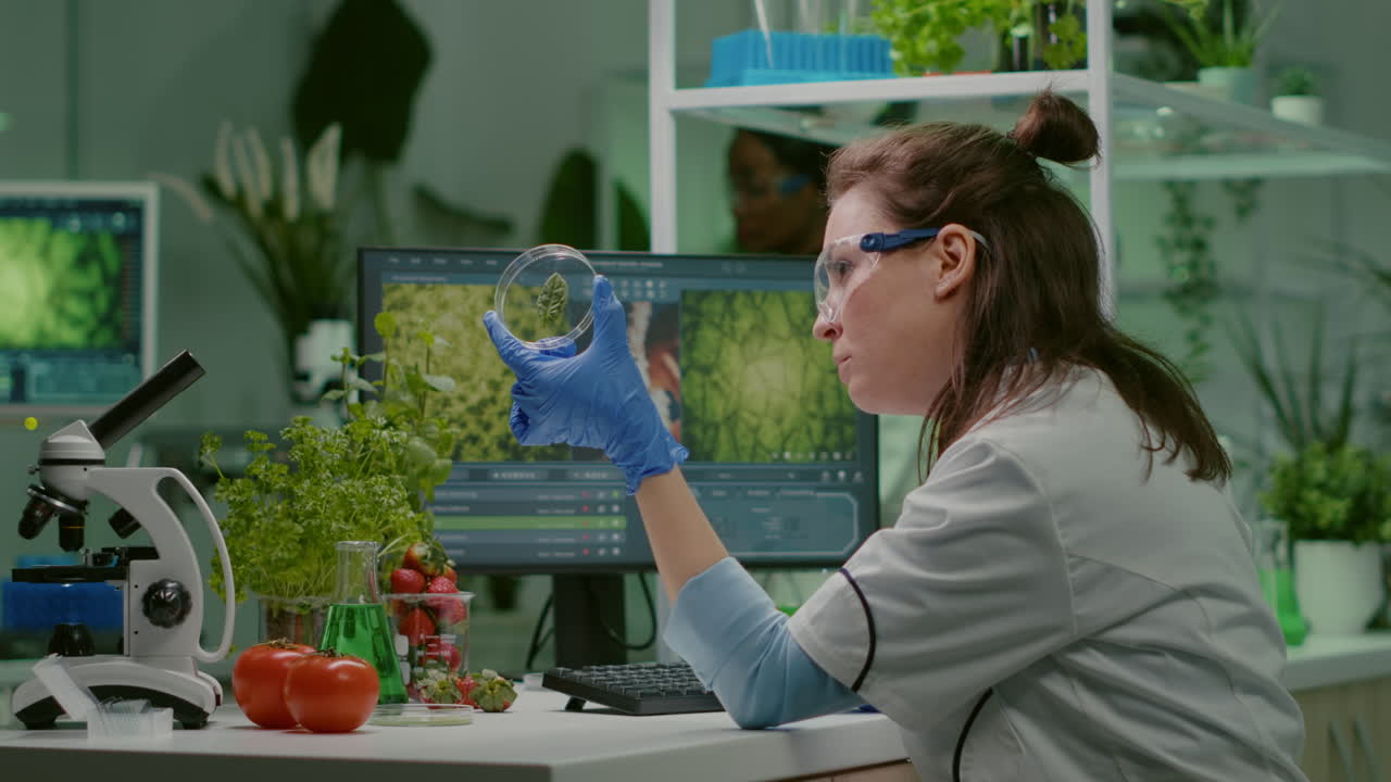 Botanist researcher typing medical expertise on computer