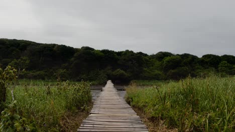 Un-Lento-Paseo-Por-Un-Puente-De-Madera-A-Través-De-Un-Humedal