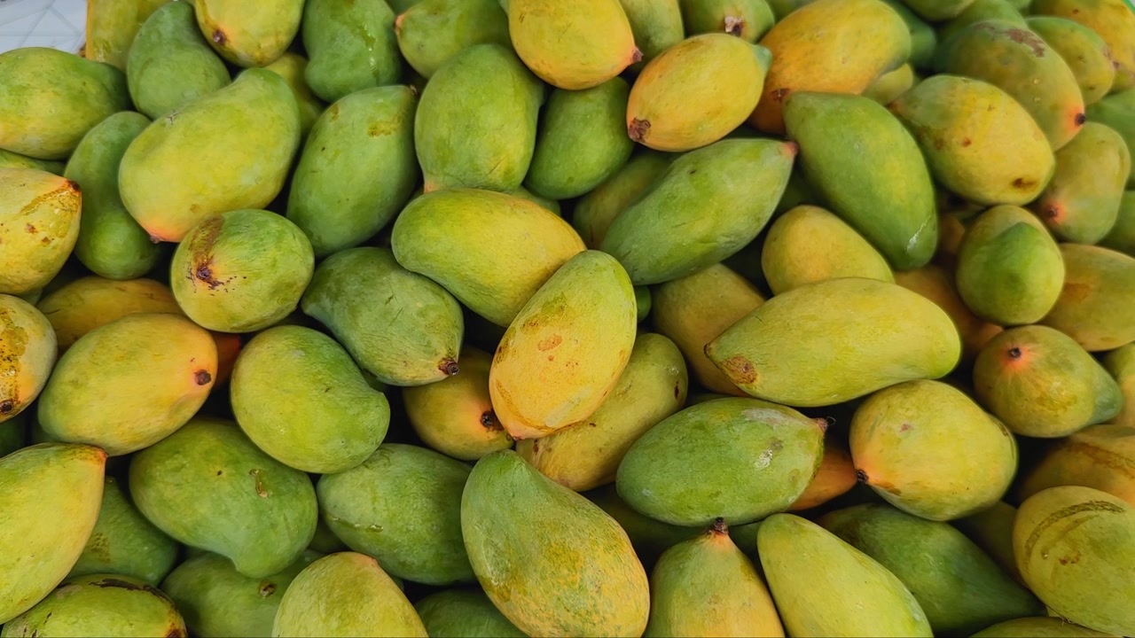 Carrellata lenta e fluida di manghi freschi disposti in un mercato locale, che evidenzia il colore naturale, il raccolto stagionale e i prodotti tropicali