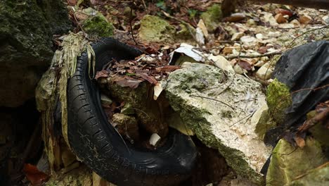 Im-Wald-Zurückgelassener-Plastik--Und-Autoreifen,-Umweltverschmutzung,-Nahaufnahme