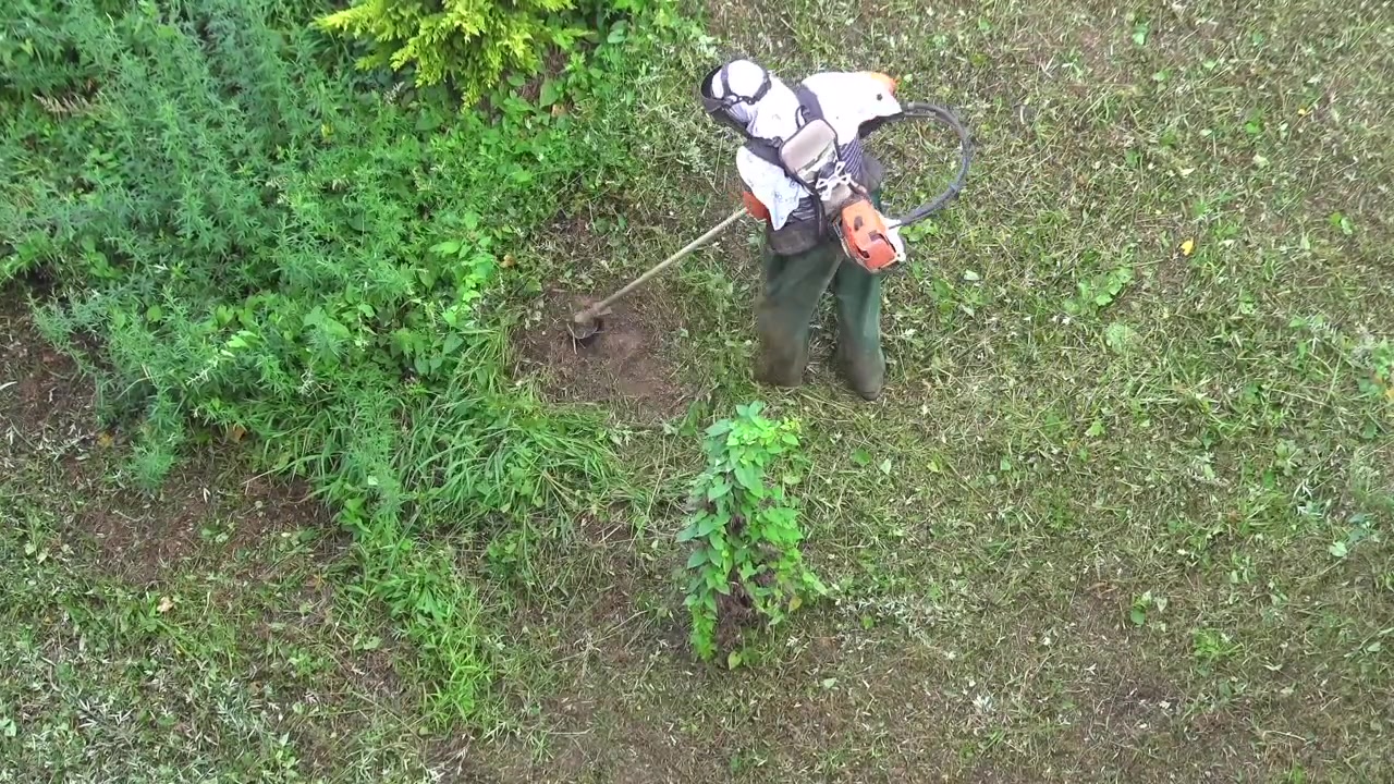 Lavoratore che usa un decespugliatore per tagliare l'erba alta in giardino