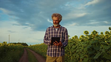 farmer checking data in sunflower field