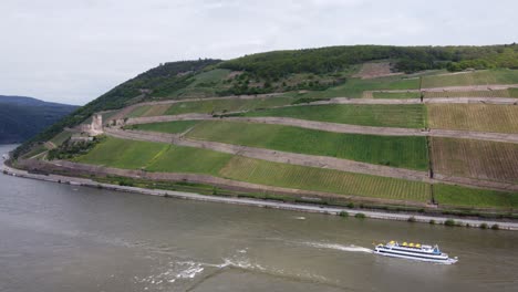 Visita-Turística-En-Barco-Pasando-Por-El-Castillo-De-Ehrenfels-En-El-Río-Rin,-Antena