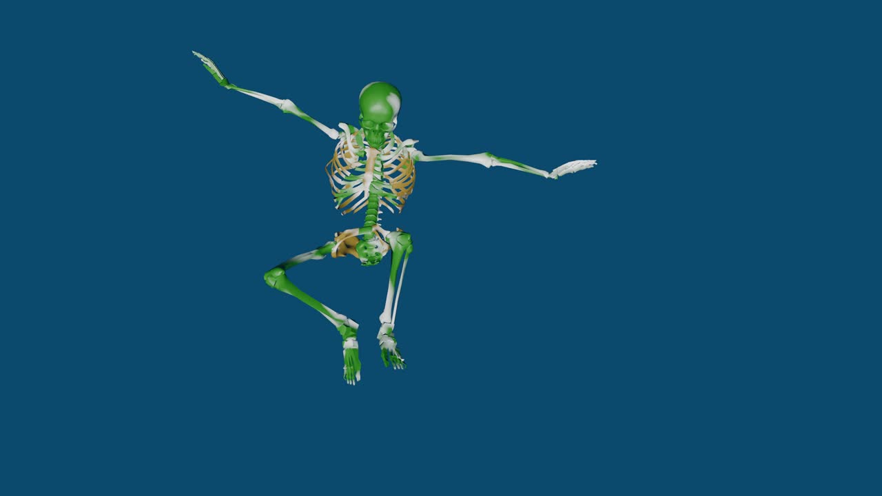 떨어지는 비활성 골격 - 카메오 발