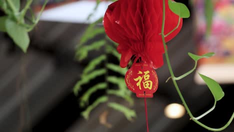 red chinese lanterns gently sway amidst lush greenery in phuket, thailand. soft lighting creates a serene and festive atmosphere