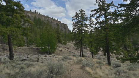 preserving ecological treasures: exploring the unique landscape of battle bluff in kamloops