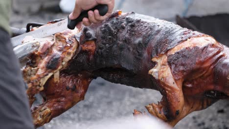 person carving meat off a roasted pig