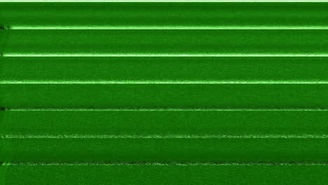 colorido vhs glitch ruido de fondo parpadeo realista, señal de televisión analógica antigua con mala interferencia, ruido estático de fondo, superposición lista