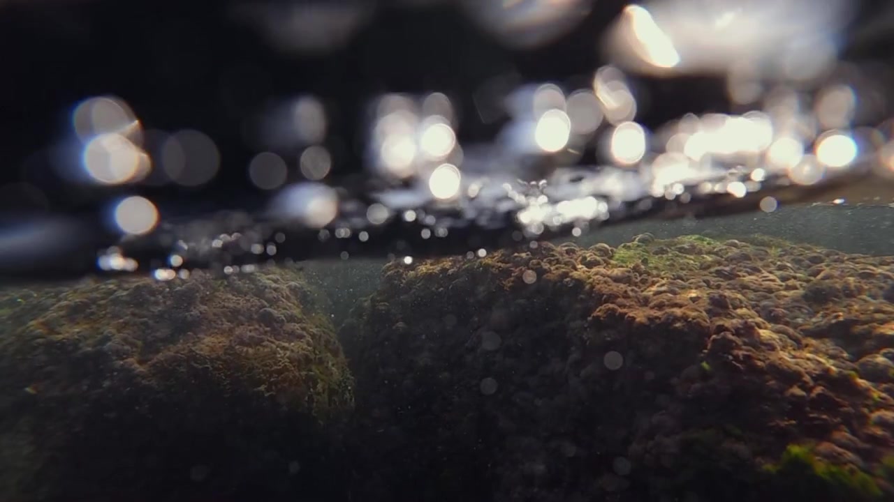 Underwater view revealing textured rocks and plants below the surface, with dynamic water movement and bubbles reflected from above