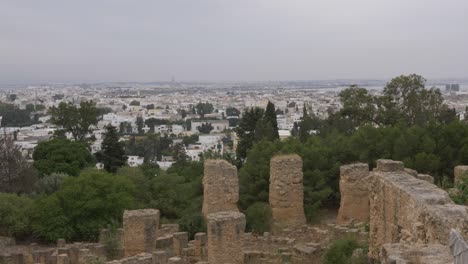 view from above on modern in carthage tunisia. beautiful city landscape. locked shot