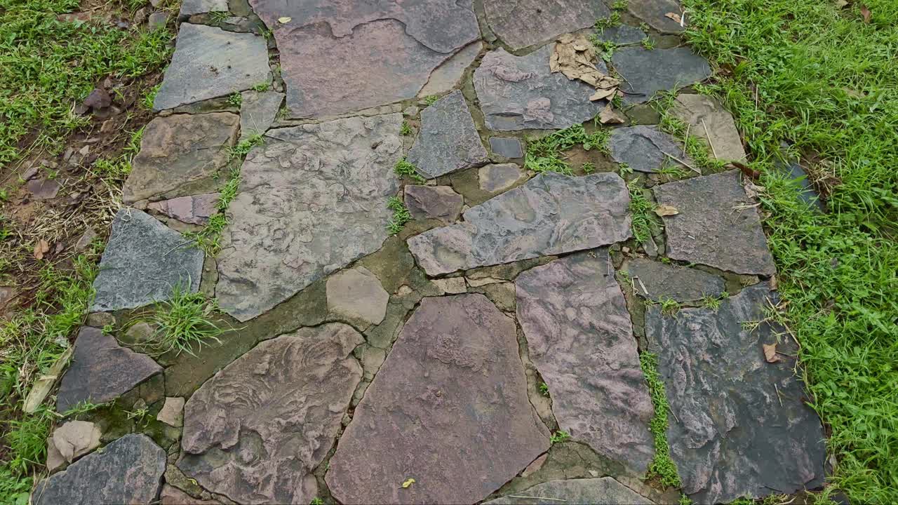 Un sendero de piedra con hierba creciendo entre los huecos que resaltan las texturas naturales y el diseño rústico al aire libre