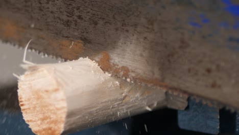 Close up sawing off a piece of round wood with a rusty saw in slow motion
