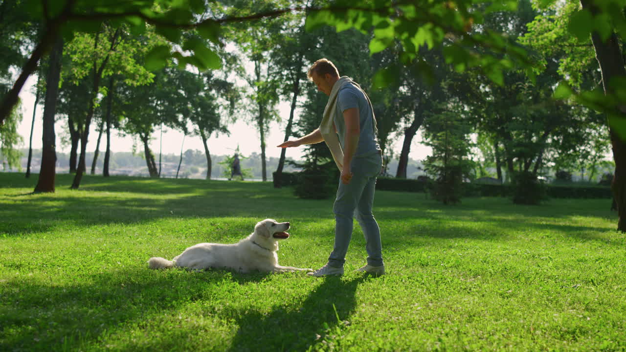 hombre feliz acariciando golden retriever park. los hombres levantan la mano para practicar la orden de sentarse