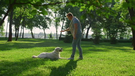 Happy-man-petting-golden-retriever-park.-Men-raise-hand-to-practice-sit-command