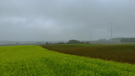 Imágenes-Aéreas-Sobre-El-Campo-De-Mostaza-Cerca-Del-Parque-Eólico,-Molinos-De-Viento-En-Medio-Del-Campo-En-La-Niebla,-Paisaje-Otoñal-Por-Drones-4k