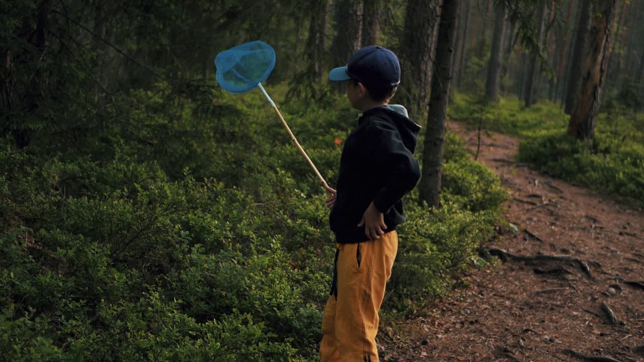 un niño atrapa mariposas con una red