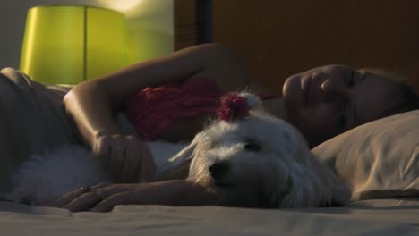 woman stroking dog in bed sleeping at night