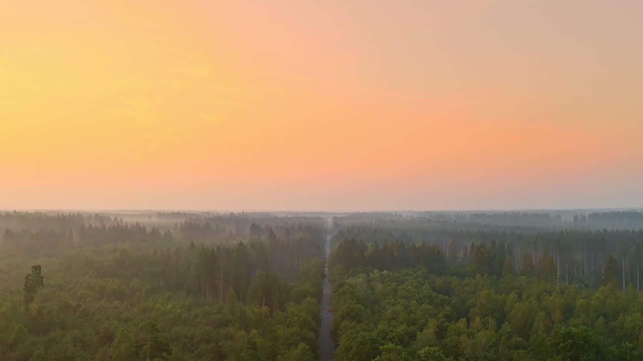 Top shot at a car passing by a street through a forest, the camera follows up the driving vehicle swing up shot to the golden light horizon.