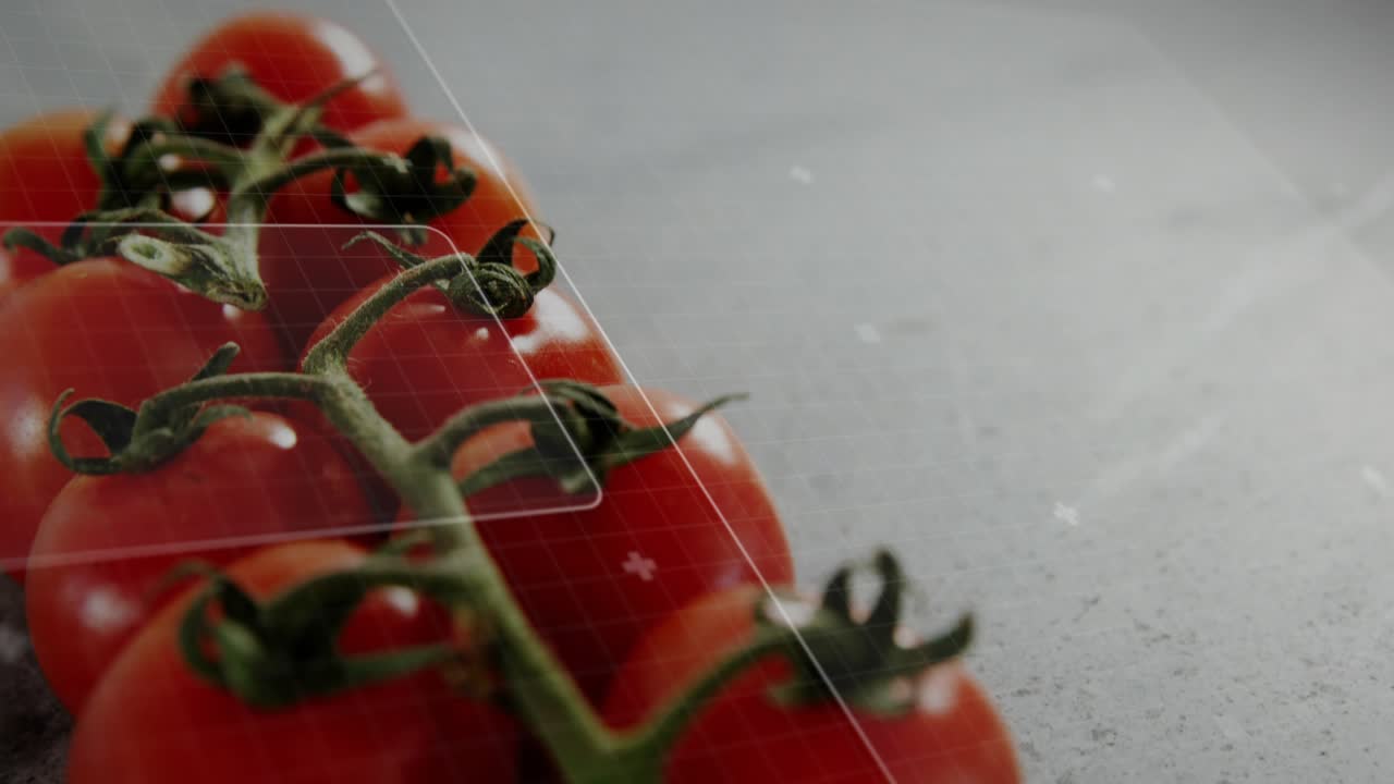 Knife entering right, slicing vine tomatoes while HUD dials rotating, camera moving, showing fresh
