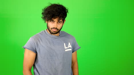 indian male model with green screen - green background