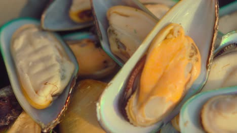 fresh mussels