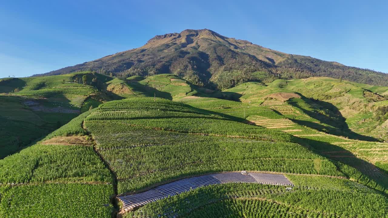 Drone footage showcasing verdant hillside farms stretching across rolling terrain beneath a majestic mountain. Rural landscape of Mount Sumbing, Indonesia