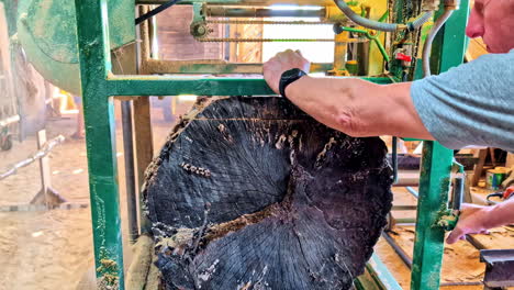 sawdust flying as worker pushing blade through fresh tree log on mechanical sawmill machinery