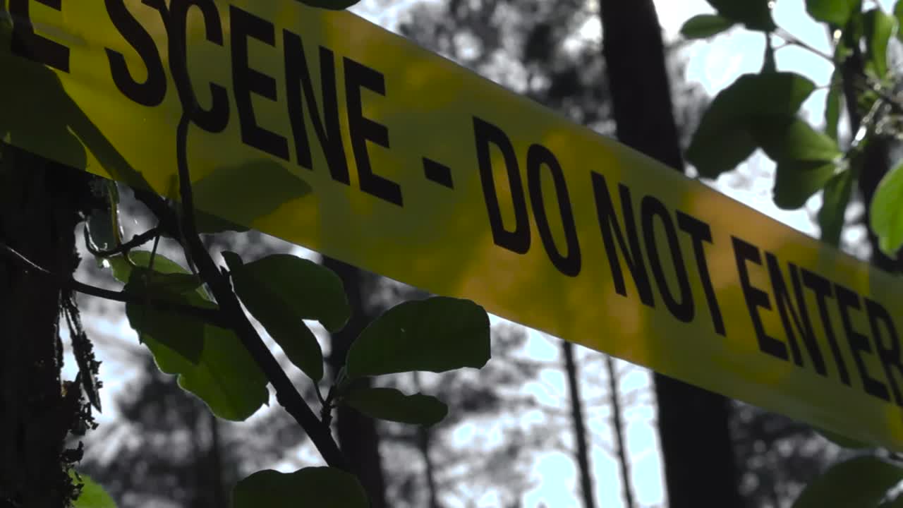 Close up or closeup footage of a yellow colored crime scene Do Not Enter tape wrapped around a tree viewed from a low angle or bottom up during a sunny day in a forest. Green leaves and tree bark seen