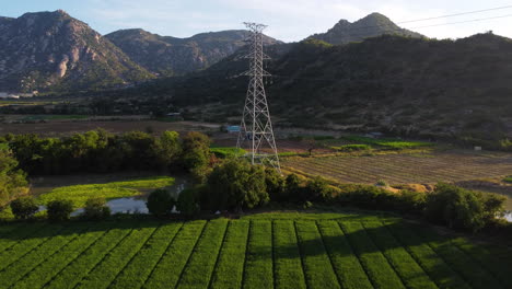 Escena-Rural-Con-Plantación-Y-Antena-De-Transmisión-De-Energía