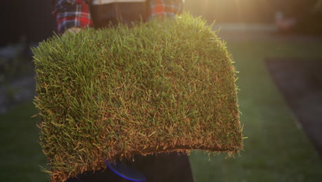 man holding a piece of land with green grass. land trade and ecology concept