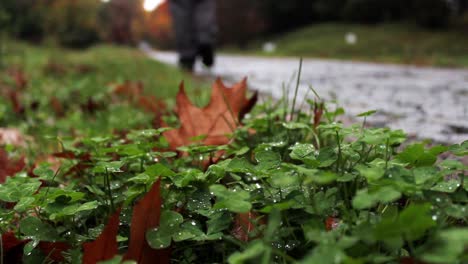 hiker feet walking in park forest travel autumn concept