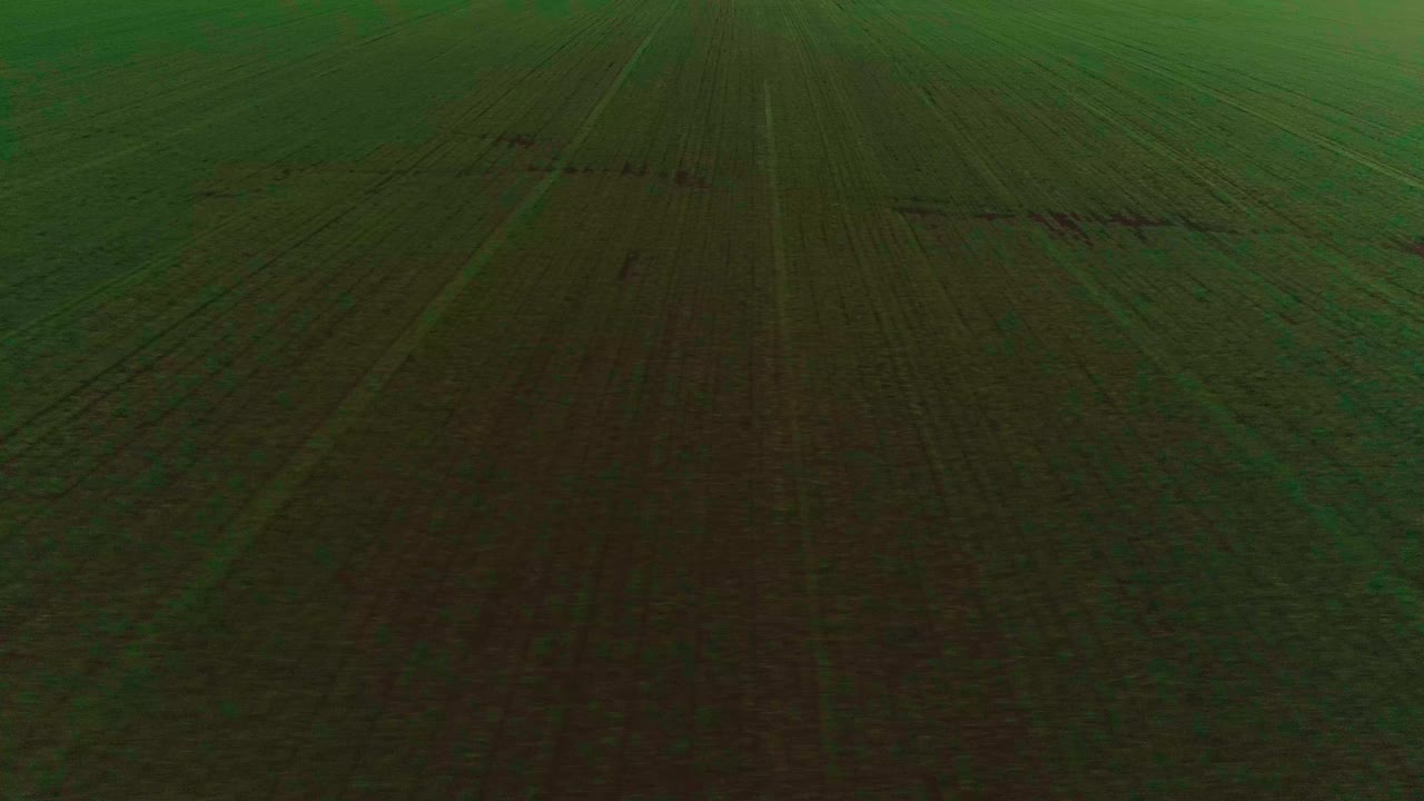 video aéreo de un campo agrícola con trigo