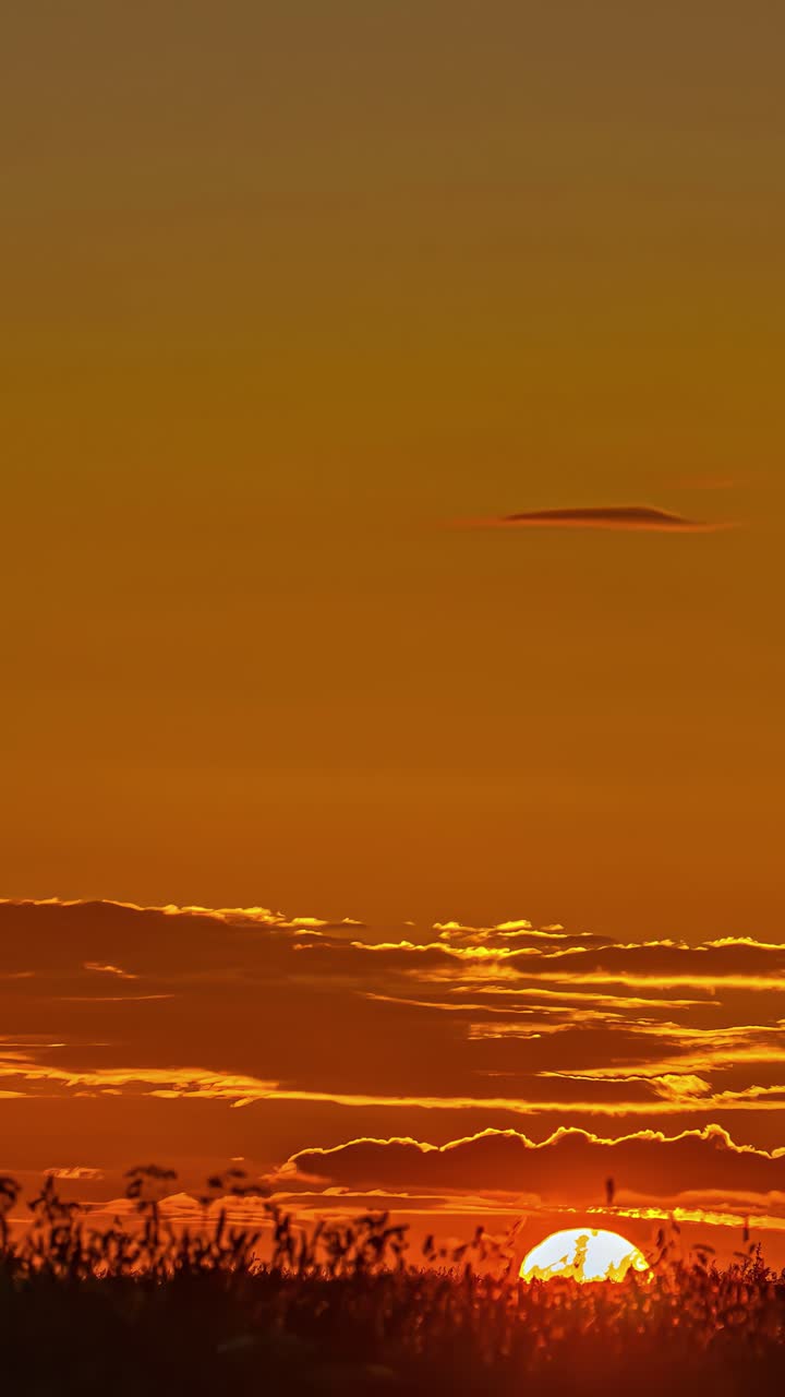 Timelapse of vibrant sunset with golden hues in vertical view