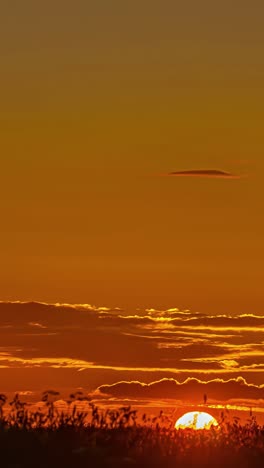 timelapse of vibrant sunset with golden hues in vertical view