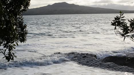 从太平洋的岩石海<unk>向rangitoto岛倾斜, 在一些在新鲜的海洋风中摇摆的树枝后面.