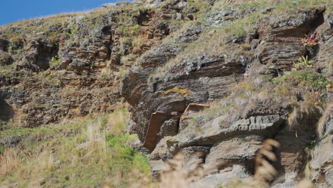 Rocas-En-Capas-Astilladas-Cubiertas-De-Hierba-Seca-Y-Musgo