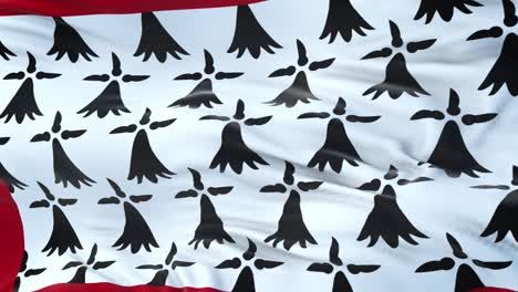 limousin (region of france) flag waving in the wind with highly detailed fabric texture. seamless loop