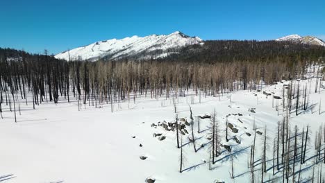 Aerial-view-of-winter-forest-landscape,-Lake-Tahoe,-California