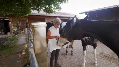 Enter-a-heartwarming-scene-as-an-elderly-woman-tends-to-her-horse,-feeding-and-nurturing-in-the-peaceful-yard