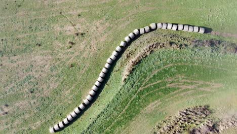 vista aérea de arriba hacia abajo de los fardos de heno alineados en tierras de cultivo después de la cosecha