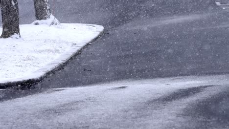 heavy stormy snowfall on the asphalt of a street, snow covered grass on the side, cold winter day, static shot, copy space