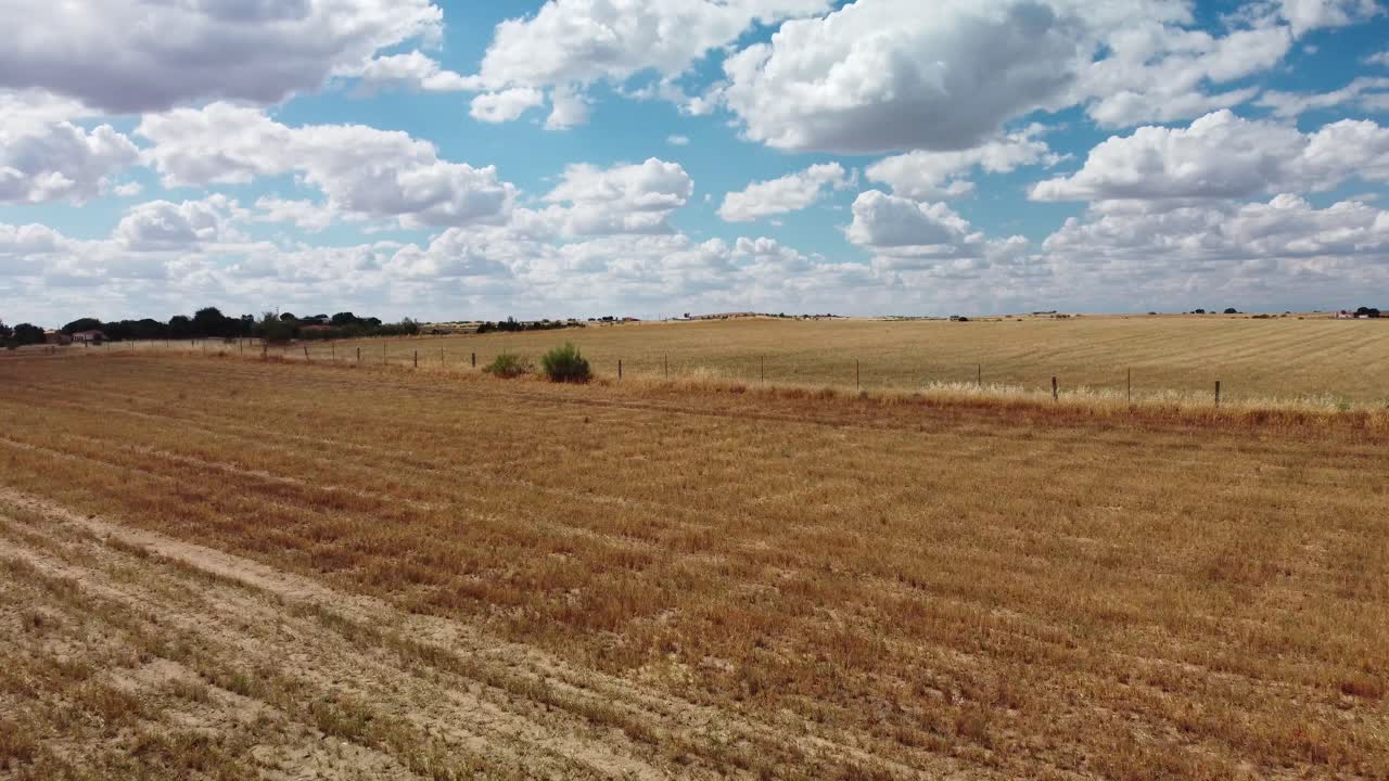 Campi dorati si estendono sotto un cielo vibrante con nuvole soffici a Dos Torres, Cordoba, Spagna.
