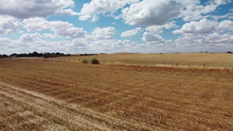 Golden-fields-stretch-under-a-vibrant-sky-with-fluffy-clouds-in-Dos-Torres,-Cordoba,-Spain