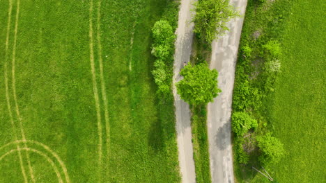 aerial view of a rural road with two bikers riding along it, surrounded by green fields and a large tree