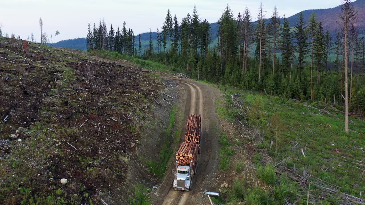 comercio de madera: imágenes de drones de camiones madereros en movimiento en la columbia británica