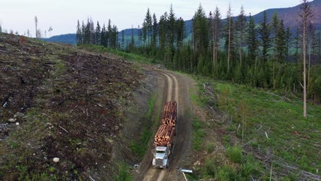 Timber Trade: Drone Footage of Logging Truck in Motion in British Columbia