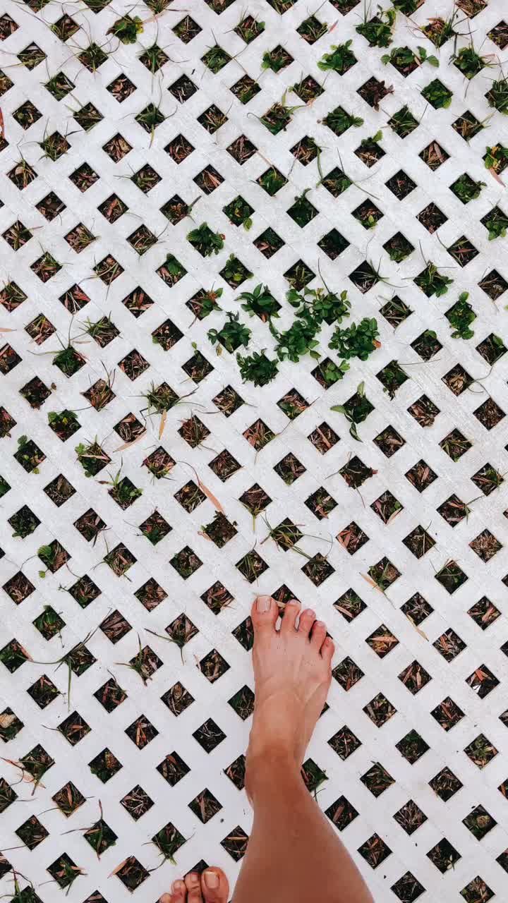 잔디와 함께  격자 갑판에 맨발로