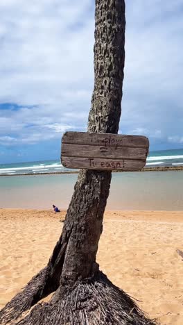 tropical beach scene with play sign