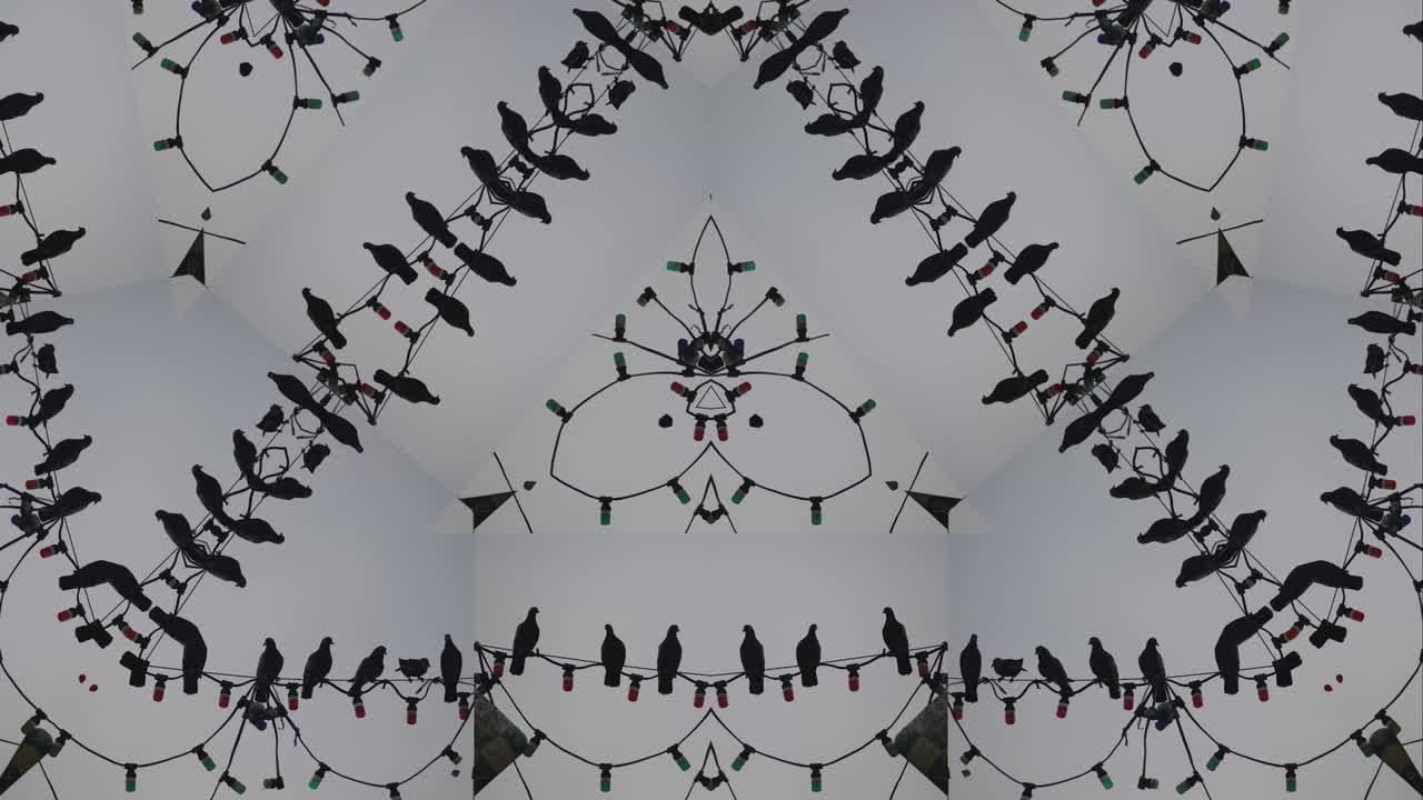 칼레이도스코프 까마귀 추상적인 배경 4k