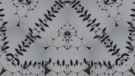 caleidoscopio cuervos fondo abstracto en 4k
